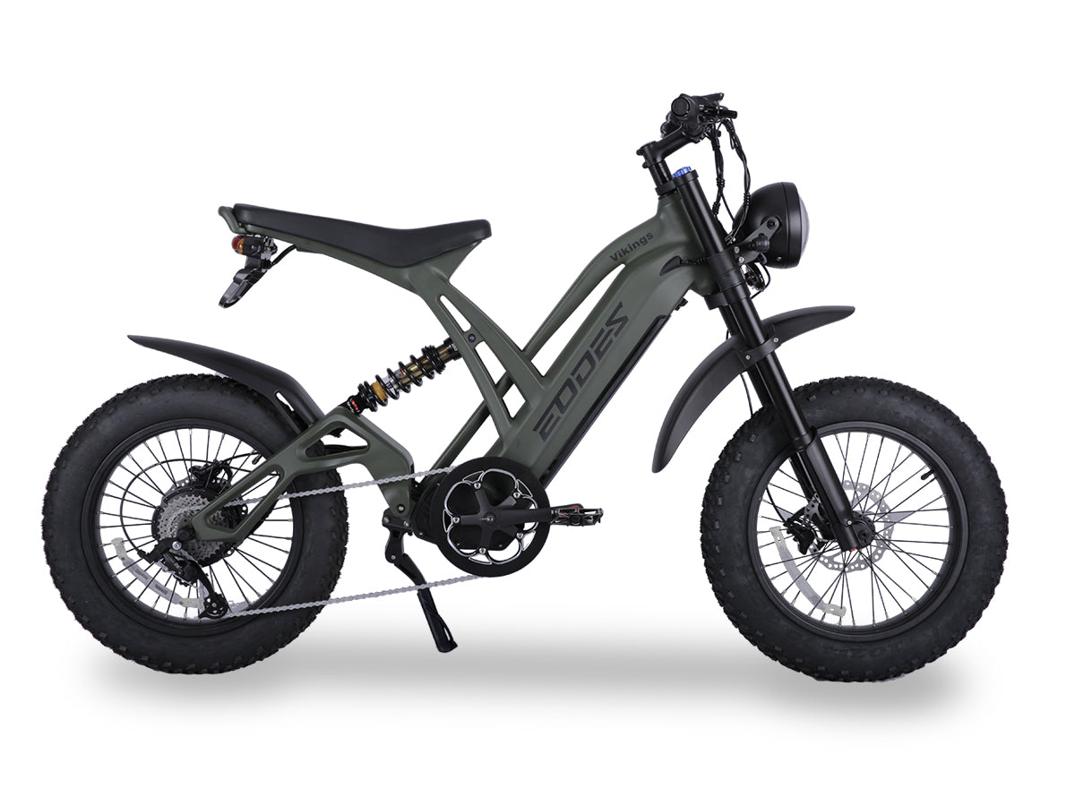 EODES VIKINGS Bicicleta eléctrica potente de estilo retro de 1000 W para adultos, hasta 43 km/h, alcance máximo de 88 km