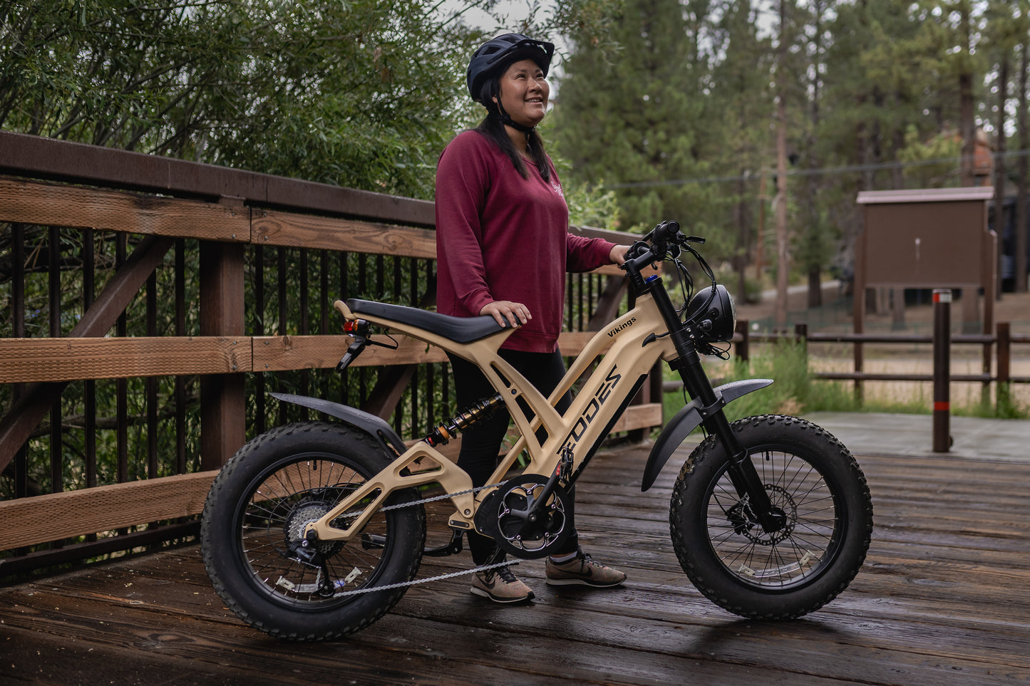 EODES VIKINGS Bicicleta eléctrica potente de estilo retro de 1000 W para adultos, hasta 43 km/h, alcance máximo de 88 km