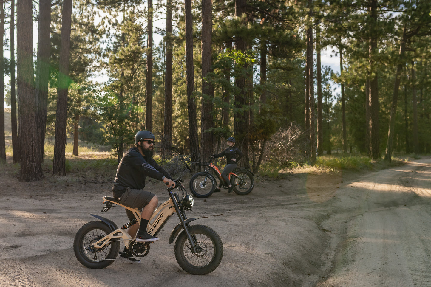 EODES VIKINGS Bicicleta eléctrica potente de estilo retro de 1000 W para adultos, hasta 43 km/h, alcance máximo de 88 km