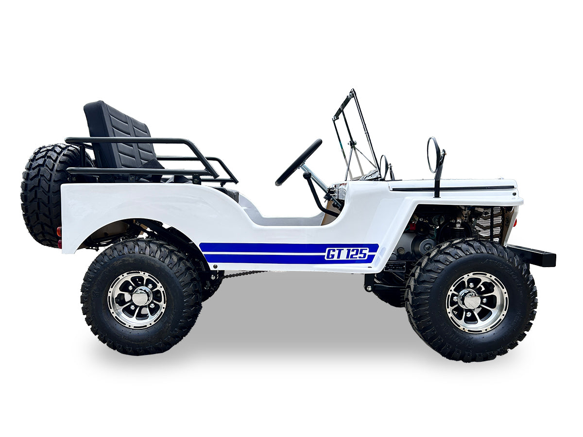 SYX MOTO 125cc 4-Stroke Go Kart - 3-Speed + Reverse, Electric/Kick Start, 35 MPH Top Speed - SYX MOTO