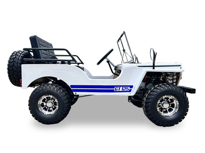 SYX MOTO 125cc 4-Stroke Go Kart - 3-Speed + Reverse, Electric/Kick Start, 35 MPH Top Speed - SYX MOTO