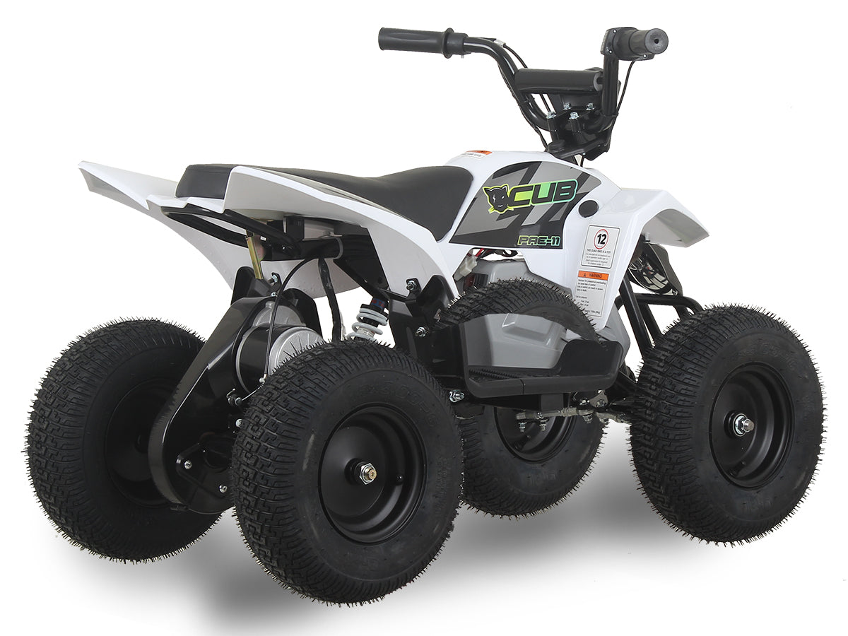 Xtm sale electric quad